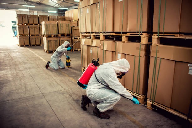Best Wasp Removal Services  in North Eagle Butte, SD
