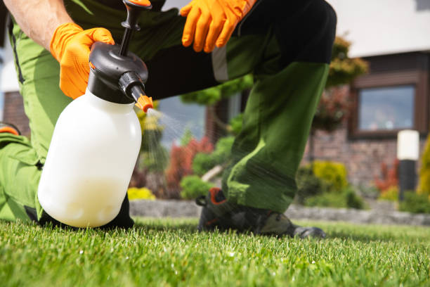 Best Pest Control Near Me  in North Eagle Butte, SD