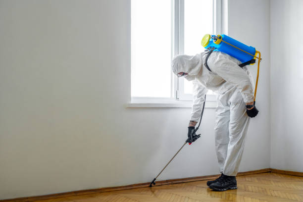 Best Rat Extermination Near Me  in North Eagle Butte, SD