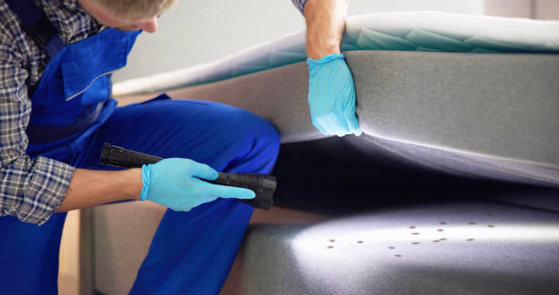 Best Affordable Pest Control Services  in North Eagle Butte, SD