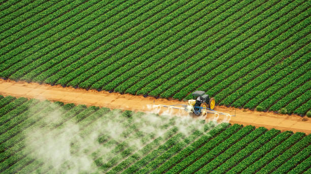 Best Mosquito Control Services  in North Eagle Butte, SD