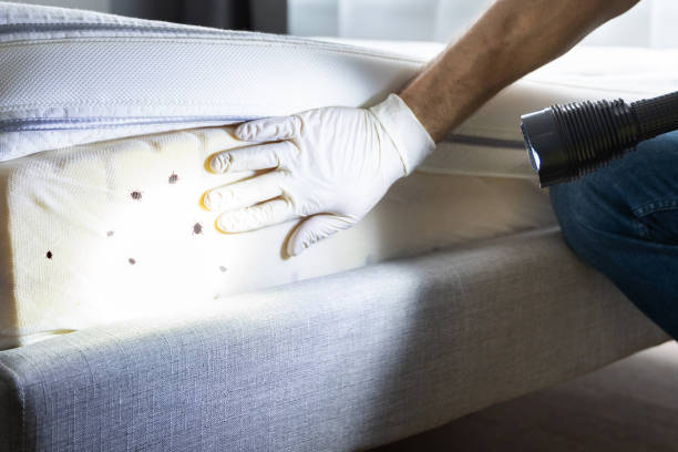Pest Control Cost in North Eagle Butte, SD