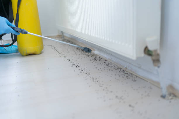 Best Ant Control Services  in North Eagle Butte, SD