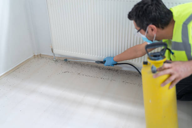 Best Best Pest Control Companies  in North Eagle Butte, SD