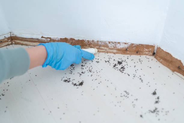Trusted North Eagle Butte, SD Pest Control Experts