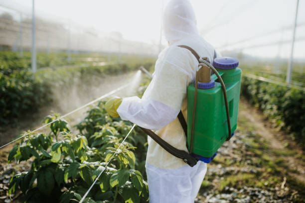 Best Cockroach Control Services  in North Eagle Butte, SD